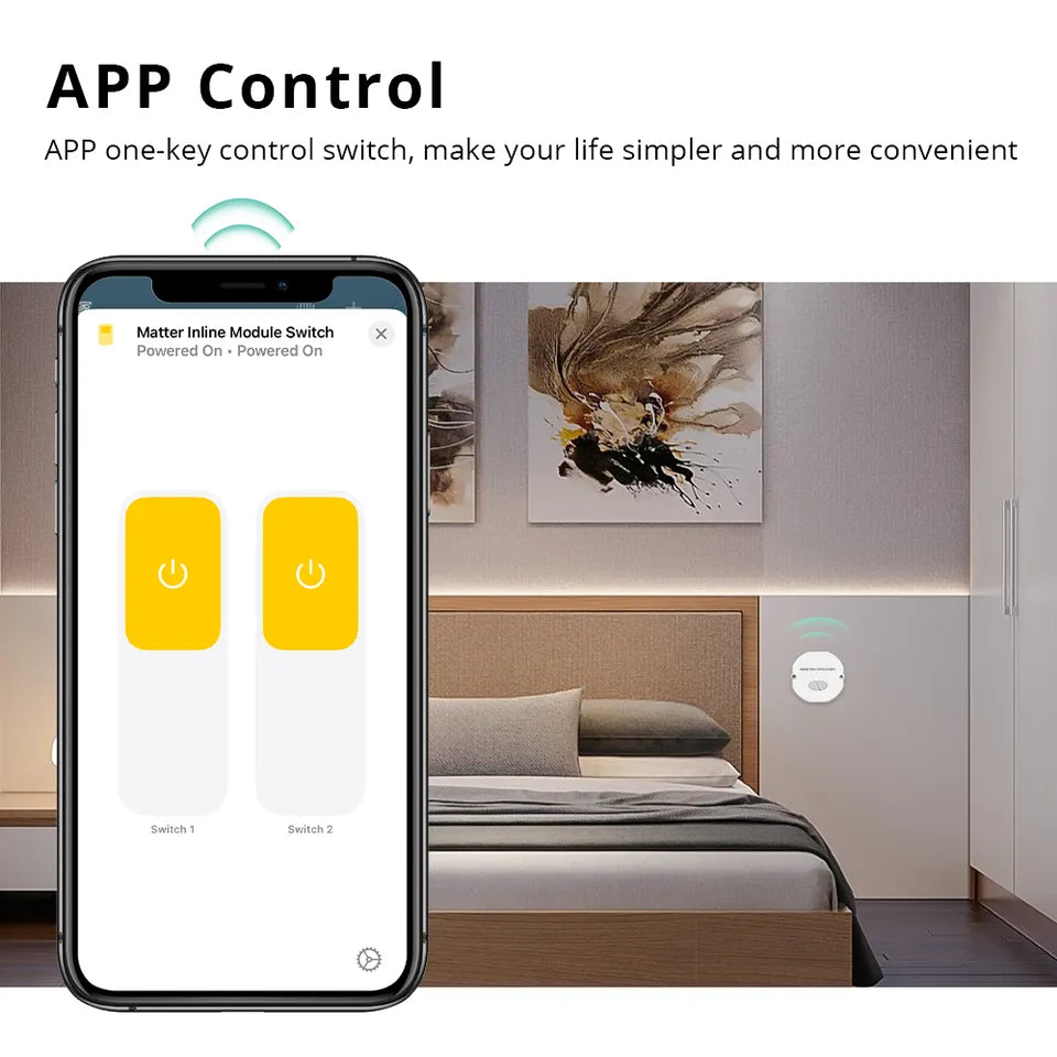 Módulo Matter a través de WiFi - 2 Gang - HomeKit | Página principal de Google | Cosas inteligentes