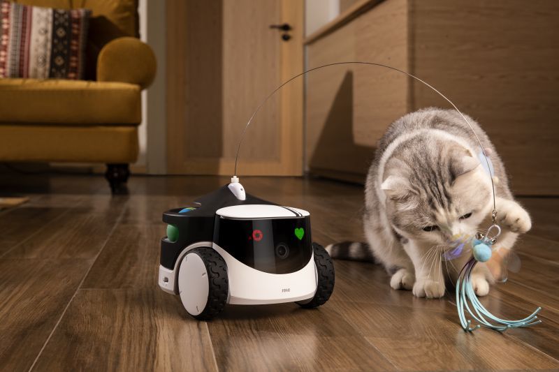 Robot de Companhia Enabot Rola Petpal 32GB