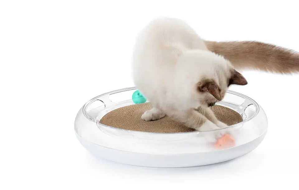 Brinquedo Fun 4 In 1 Cat Scratcher