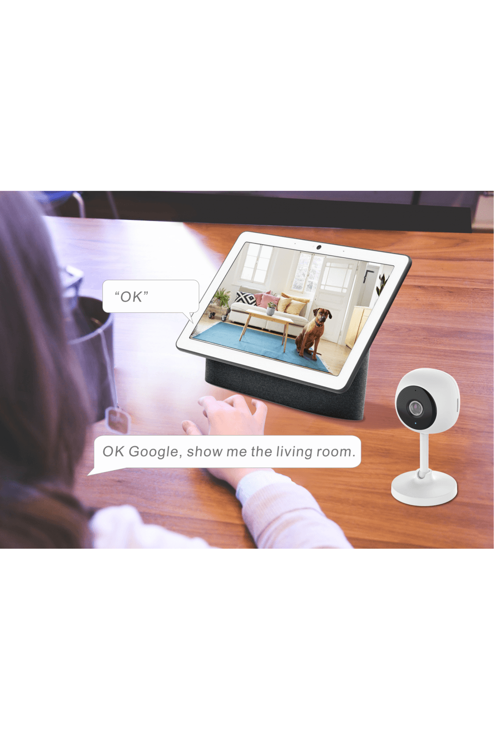 Cámara HD inteligente para interiores Woox/Tuya/Smart Life