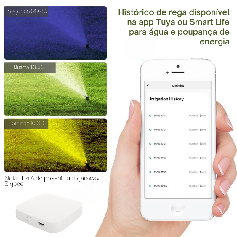 Riego inteligente Zigbee - Moes - Tuya / Smart Life